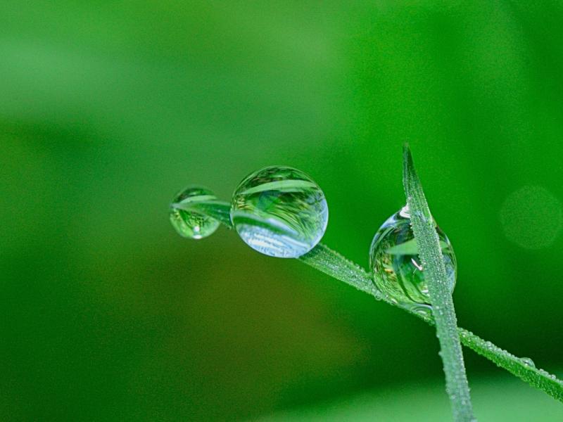 Patrimoine & Environnement